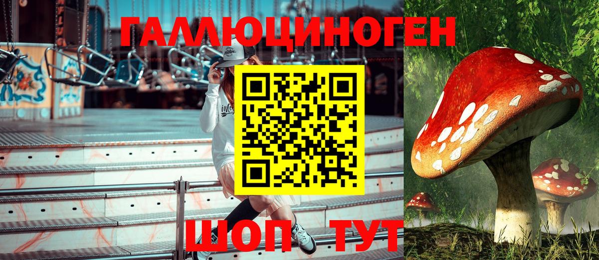Балахна  Псилоцибиновые грибы Magic Shrooms  Вход с VPN 