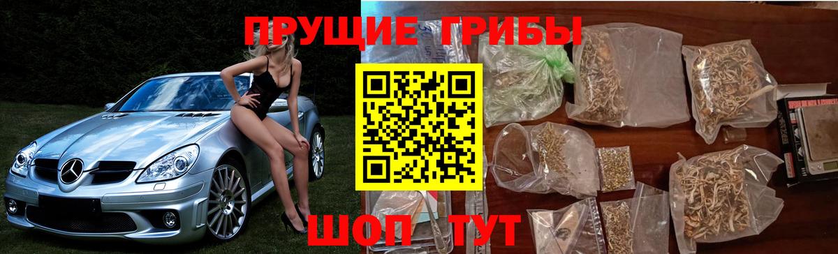 Галлюциногенные грибы мухоморы Балахна